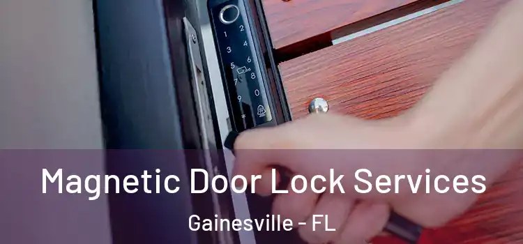 Magnetic Door Lock Services Gainesville - FL